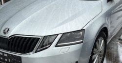 Rent a Car- Skoda Octavia Baujahr 2017